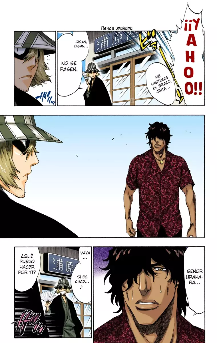 Read Bleach Full Color ES Manga Online