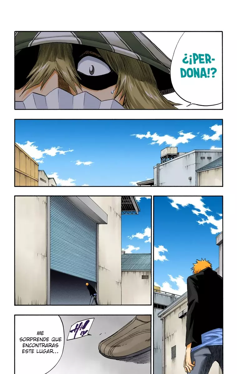 Read Bleach Full Color ES Manga Online