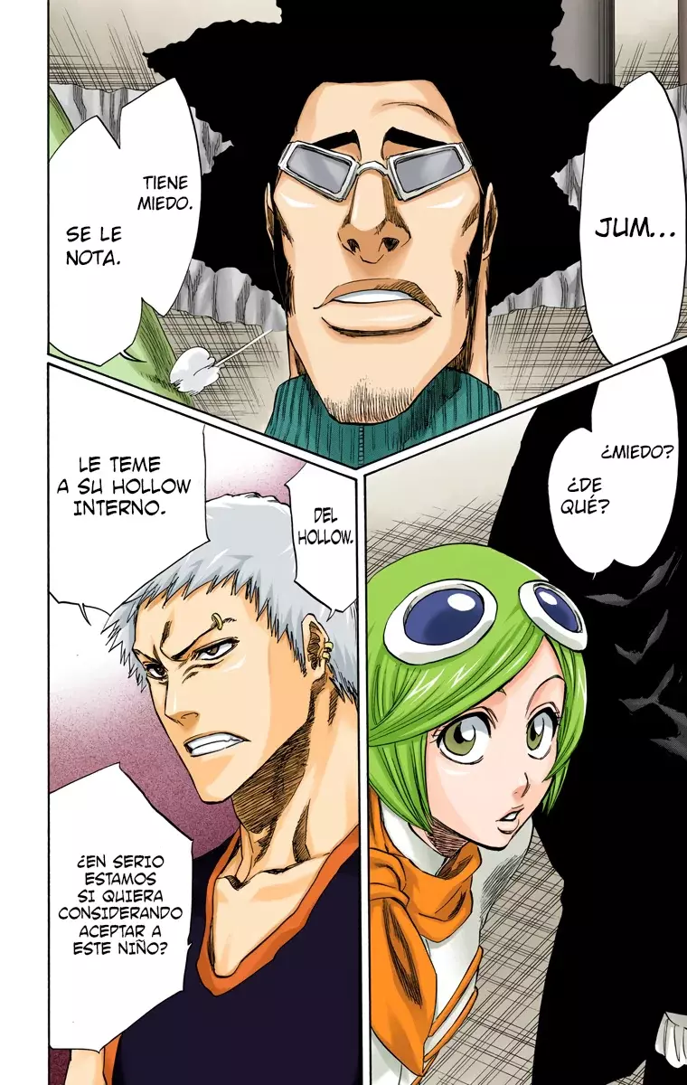 Read Bleach Full Color ES Manga Online