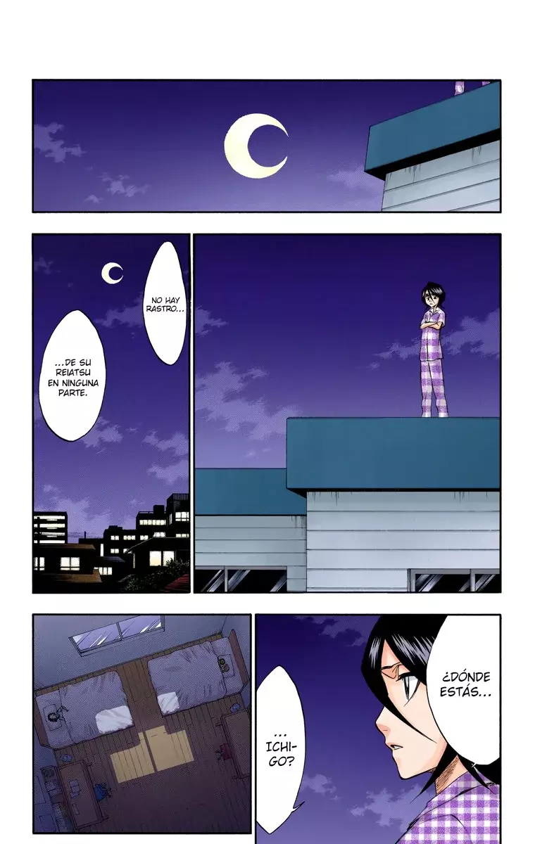 Read Bleach Full Color ES Manga Online