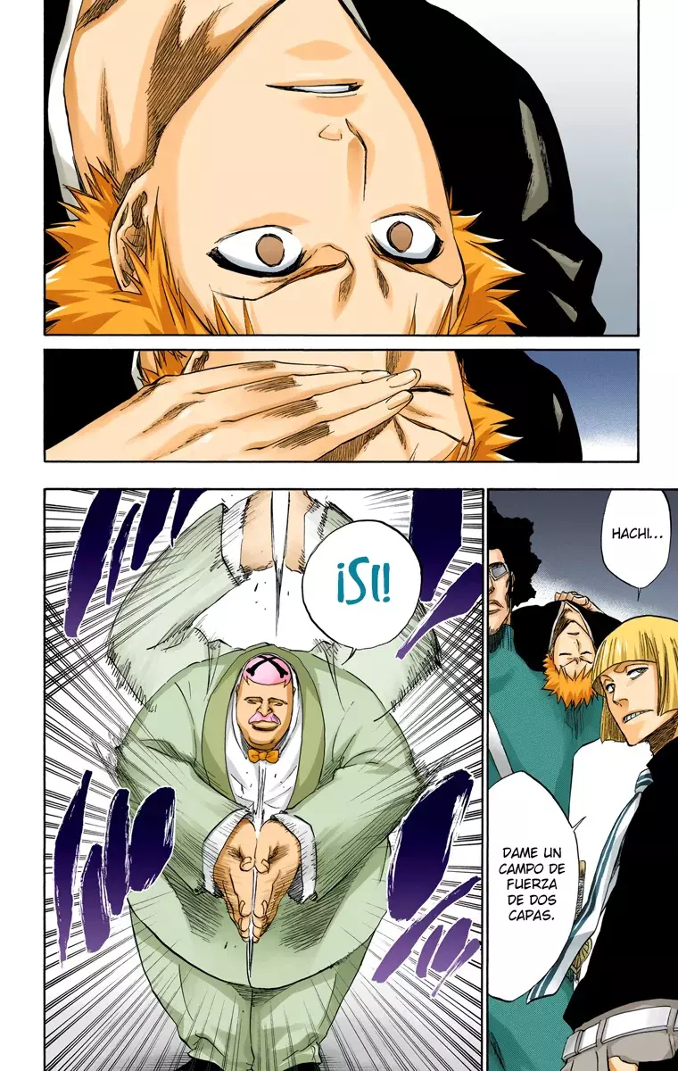 Read Bleach Full Color ES Manga Online