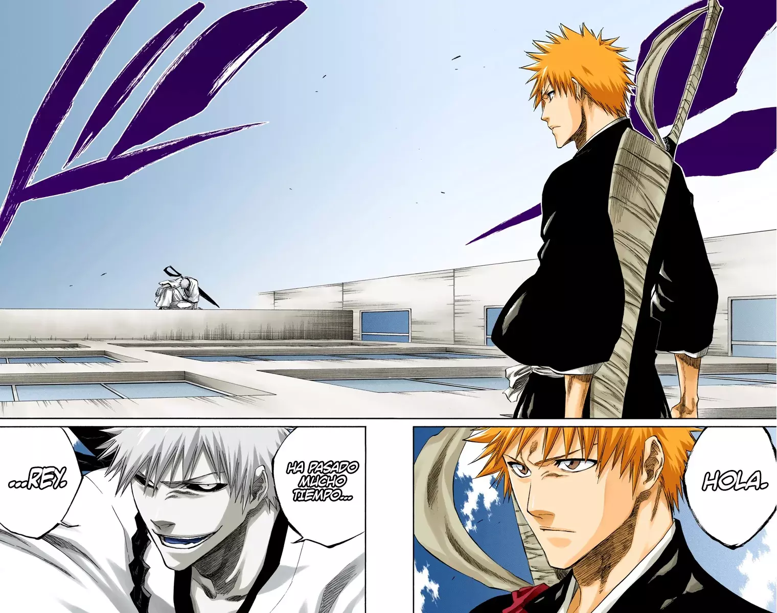 Read Bleach Full Color ES Manga Online