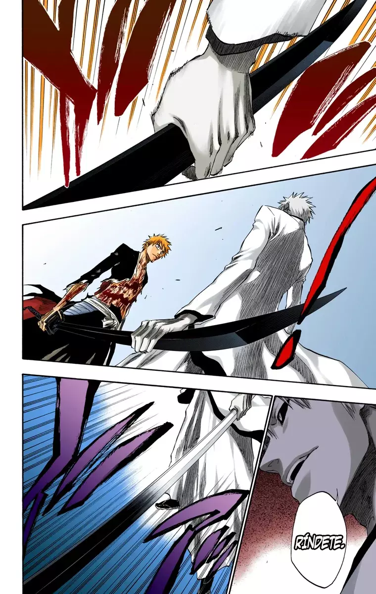Read Bleach Full Color ES Manga Online
