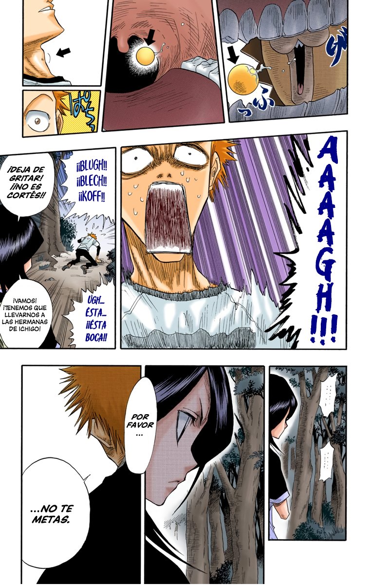 Read Bleach Full Color ES Manga Online