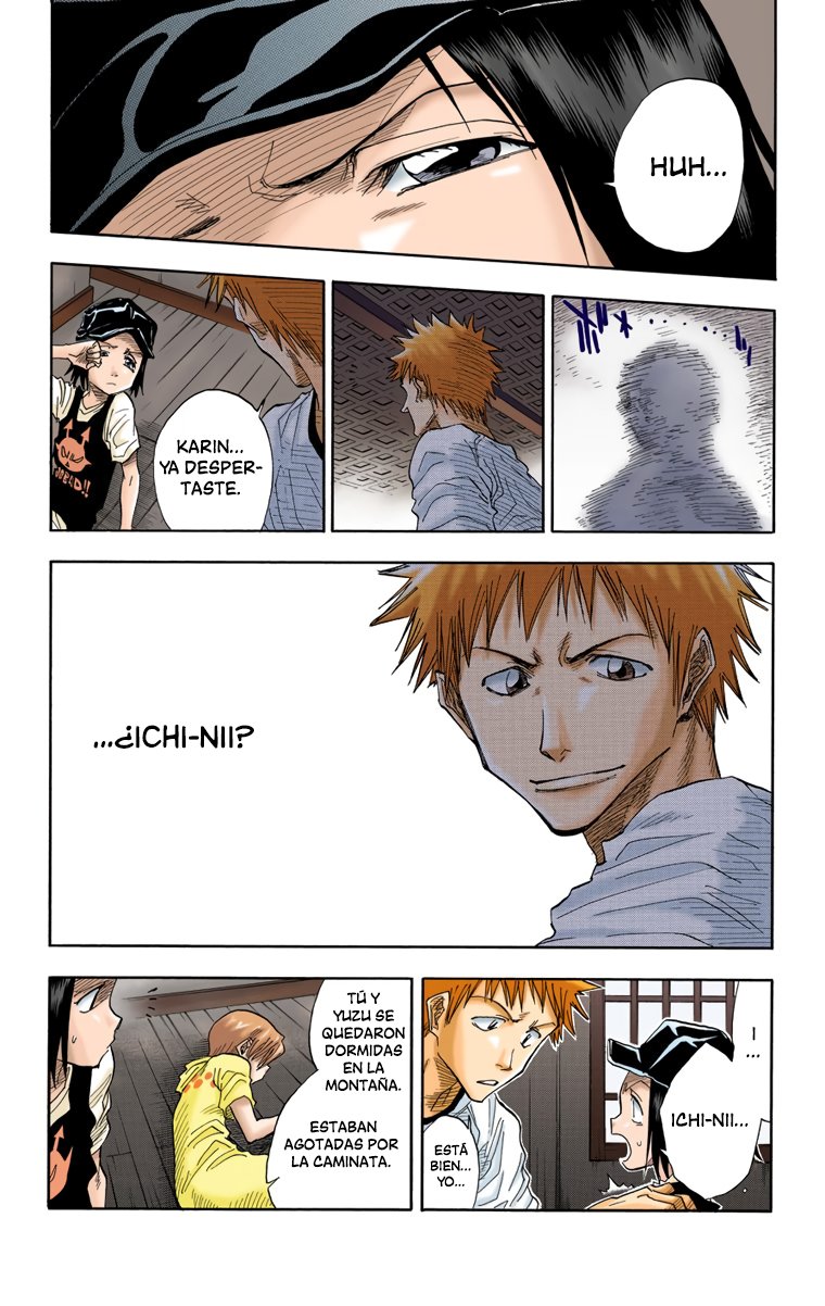 Read Bleach Full Color ES Manga Online