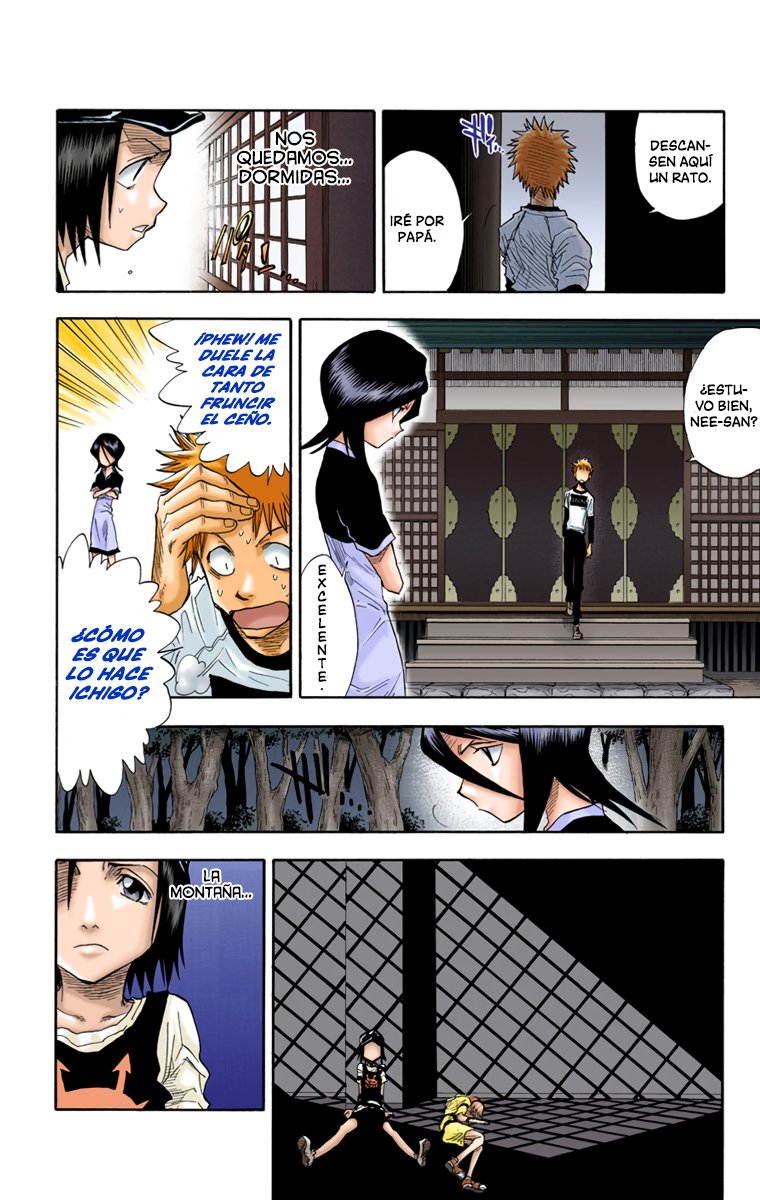 Read Bleach Full Color ES Manga Online