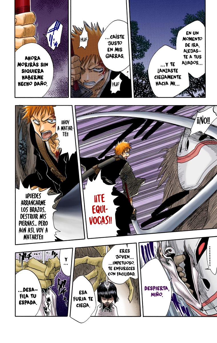 Read Bleach Full Color ES Manga Online
