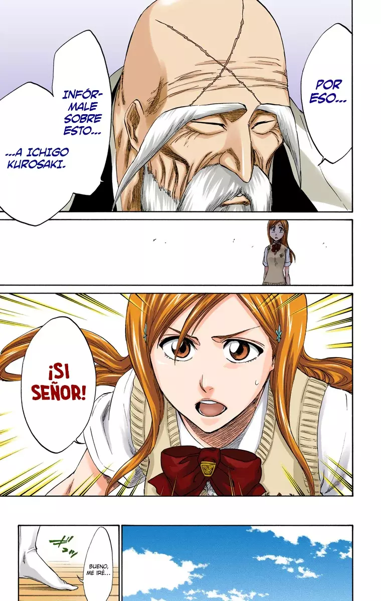 Read Bleach Full Color ES Manga Online