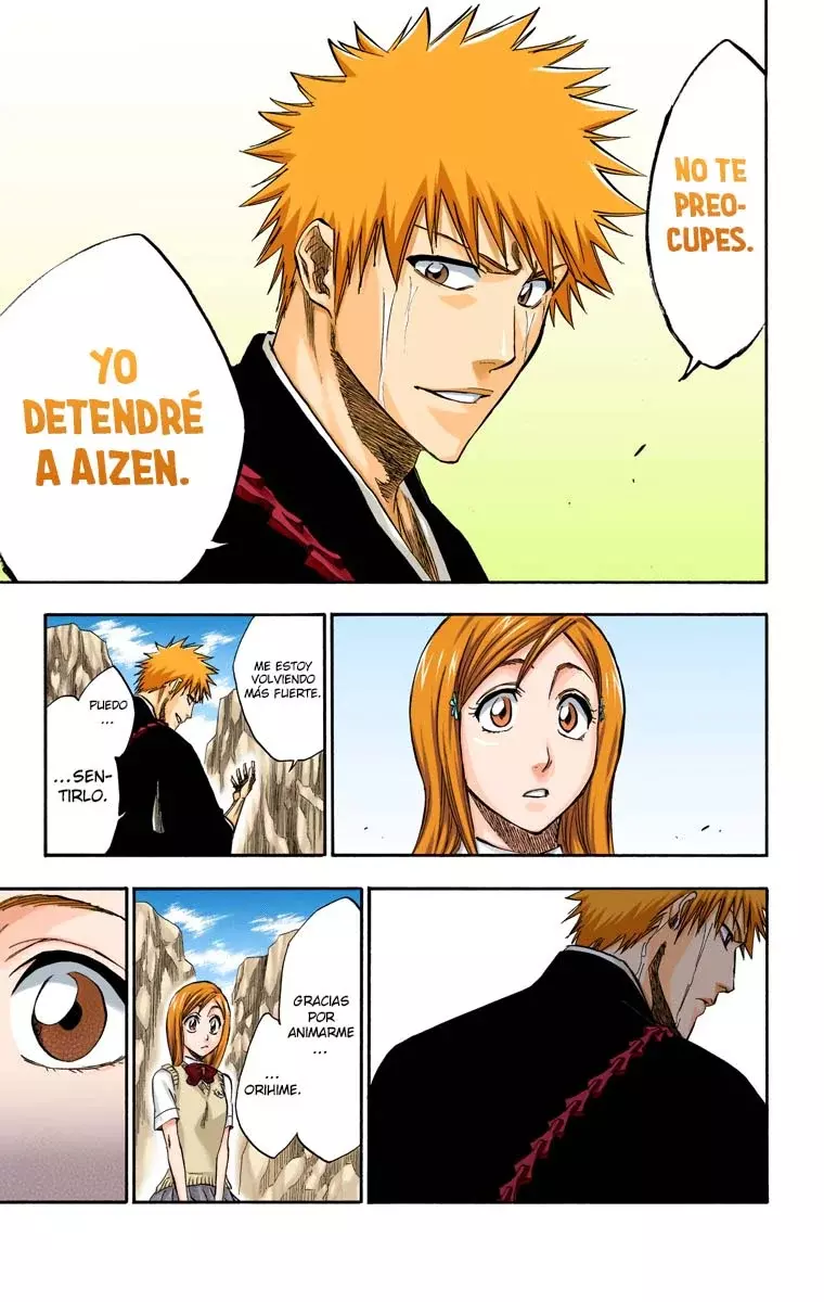 Read Bleach Full Color ES Manga Online