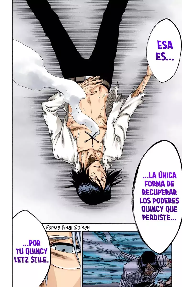 Read Bleach Full Color ES Manga Online