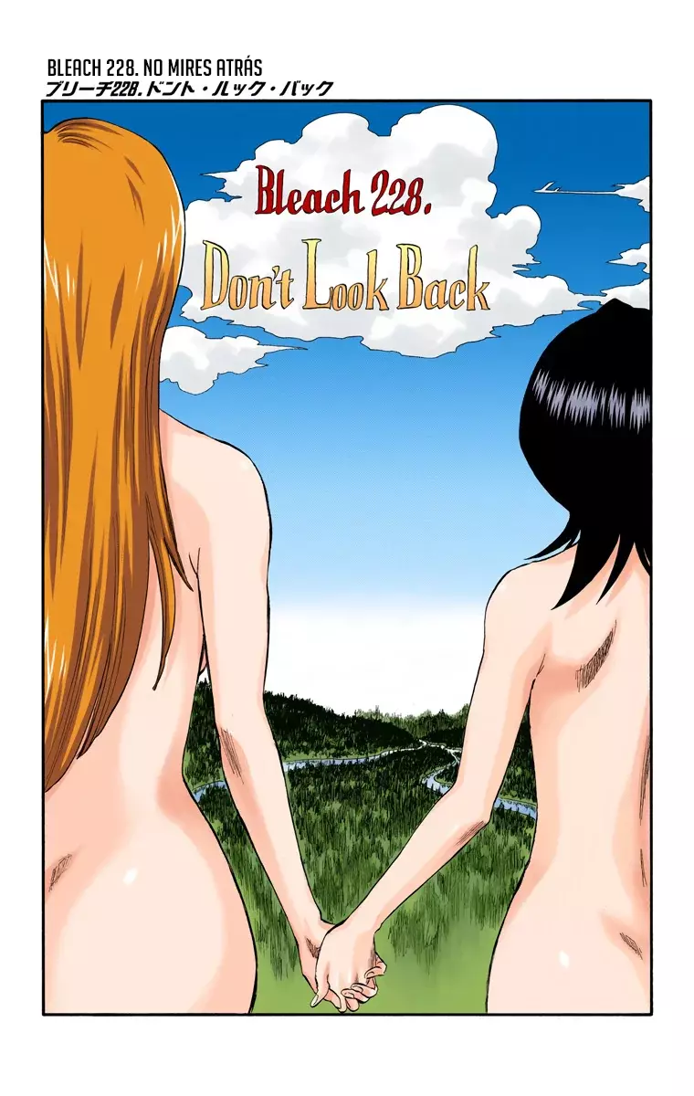 Read Bleach Full Color ES Manga Online