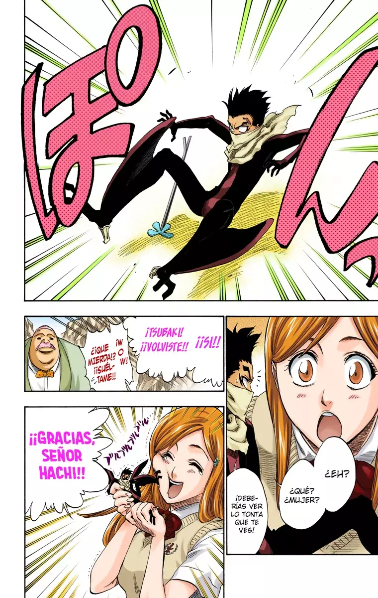 Read Bleach Full Color ES Manga Online