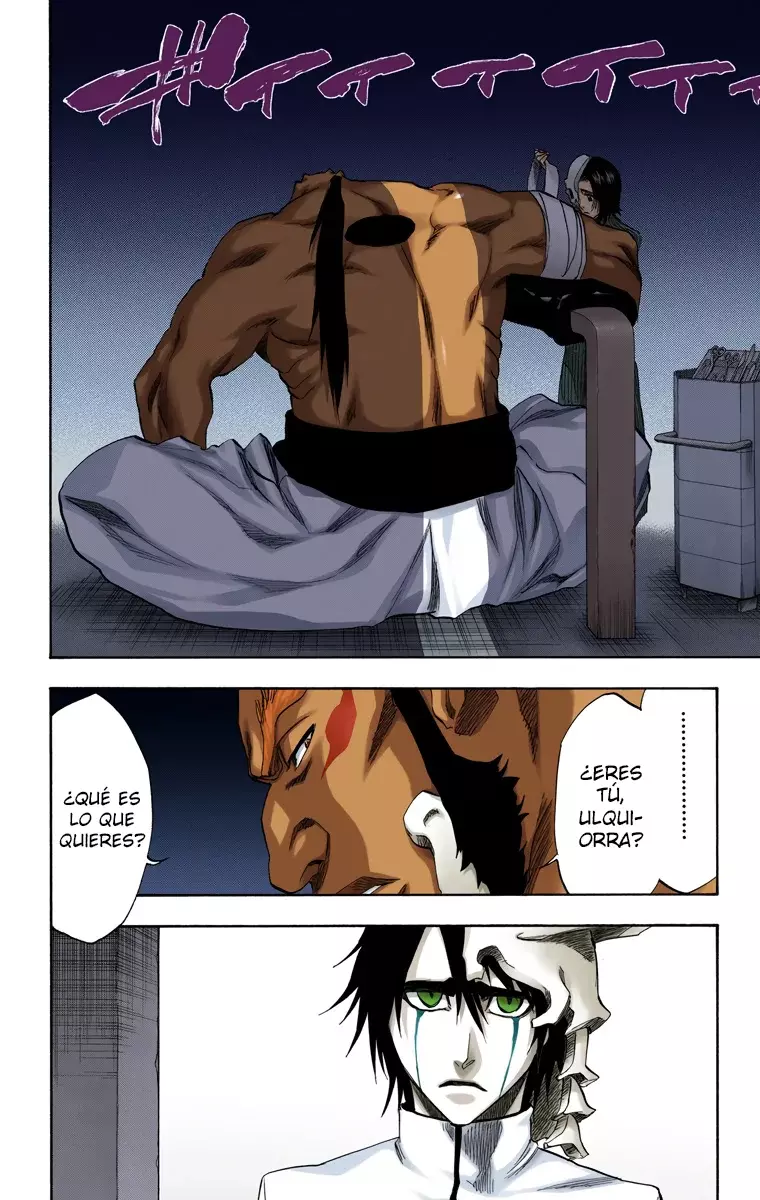 Read Bleach Full Color ES Manga Online