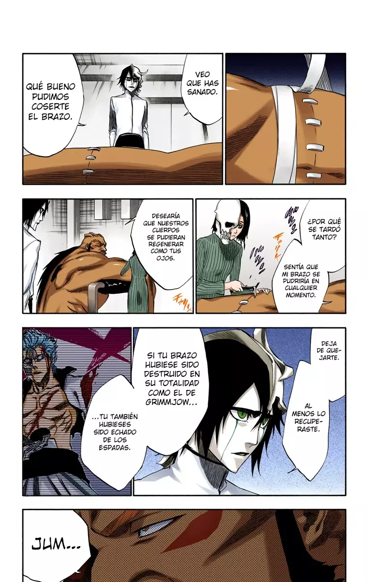 Read Bleach Full Color ES Manga Online