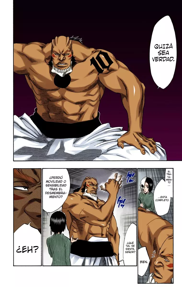 Read Bleach Full Color ES Manga Online