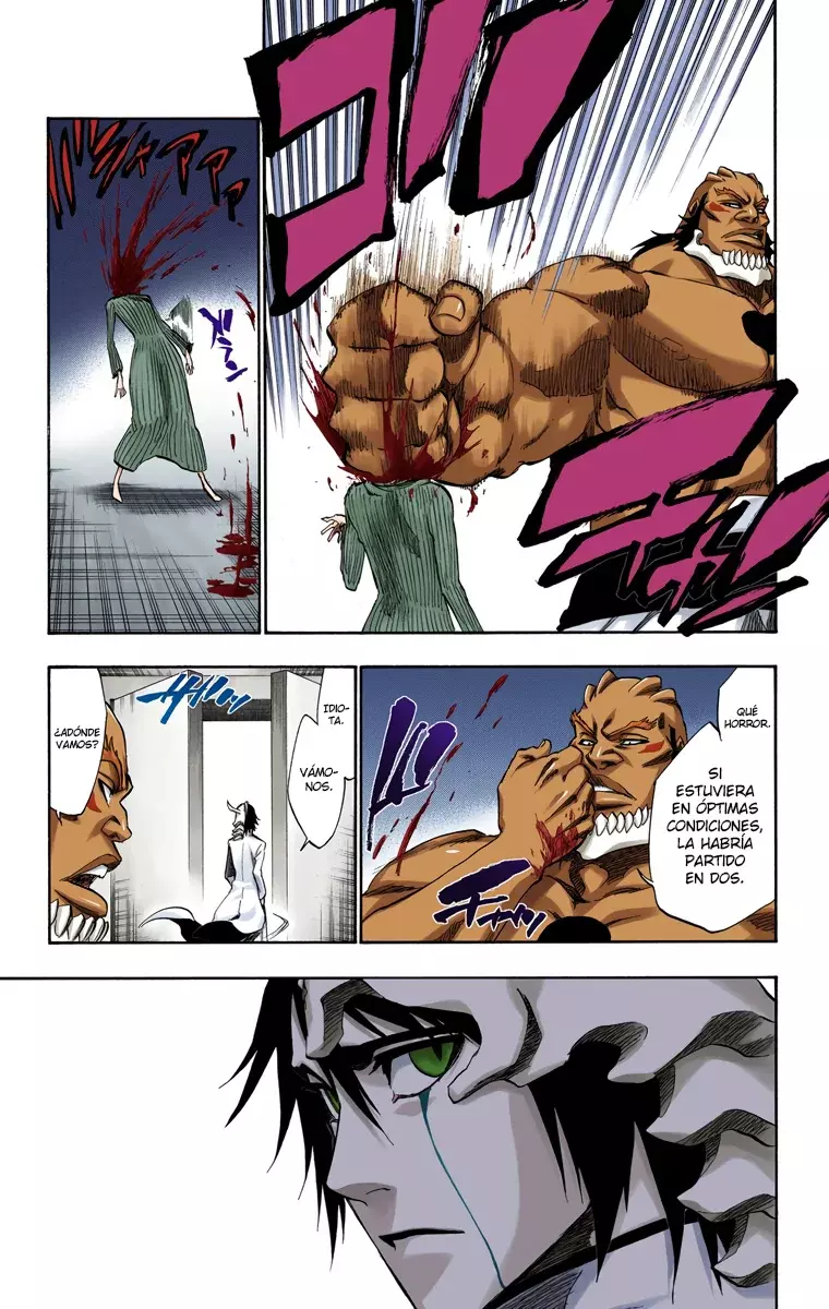 Read Bleach Full Color ES Manga Online