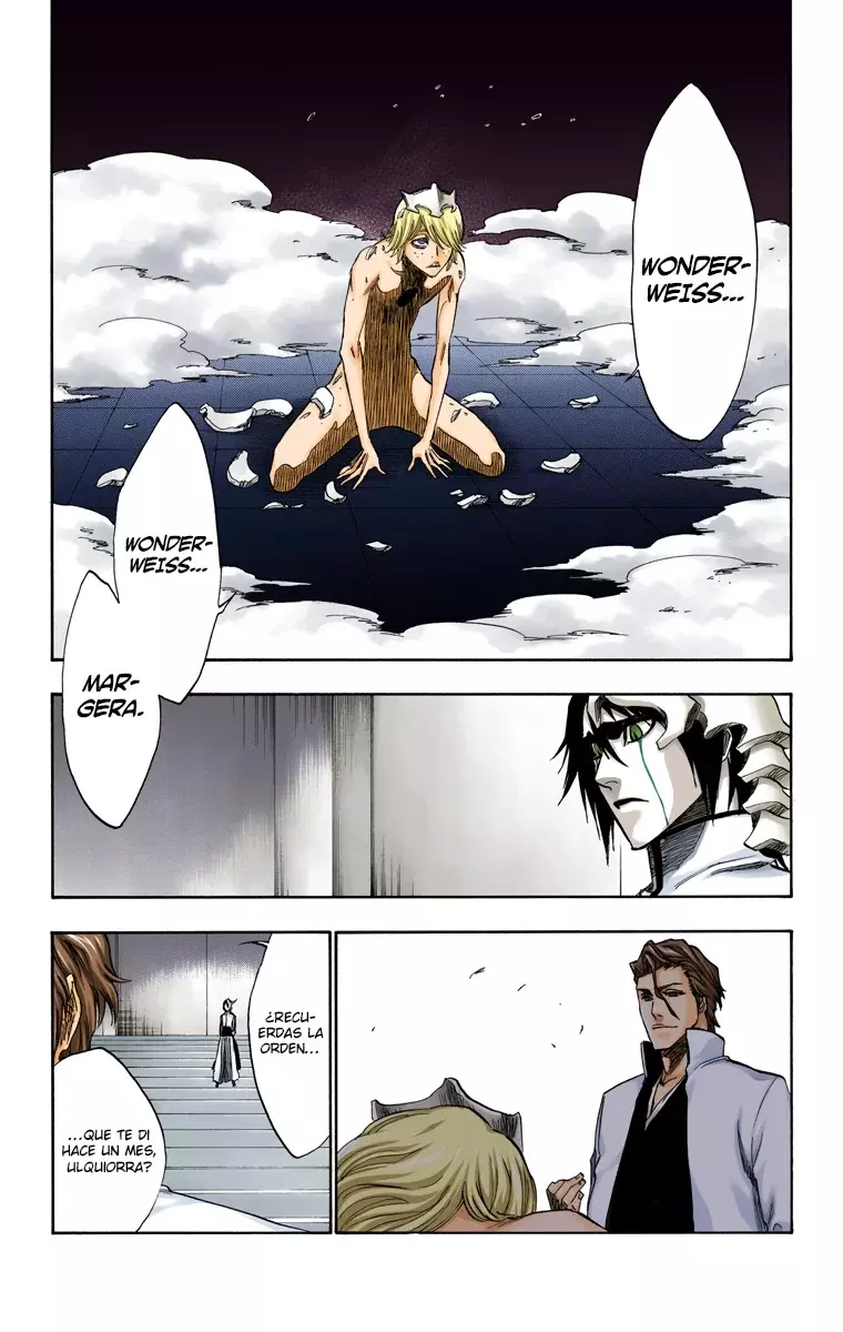 Read Bleach Full Color ES Manga Online