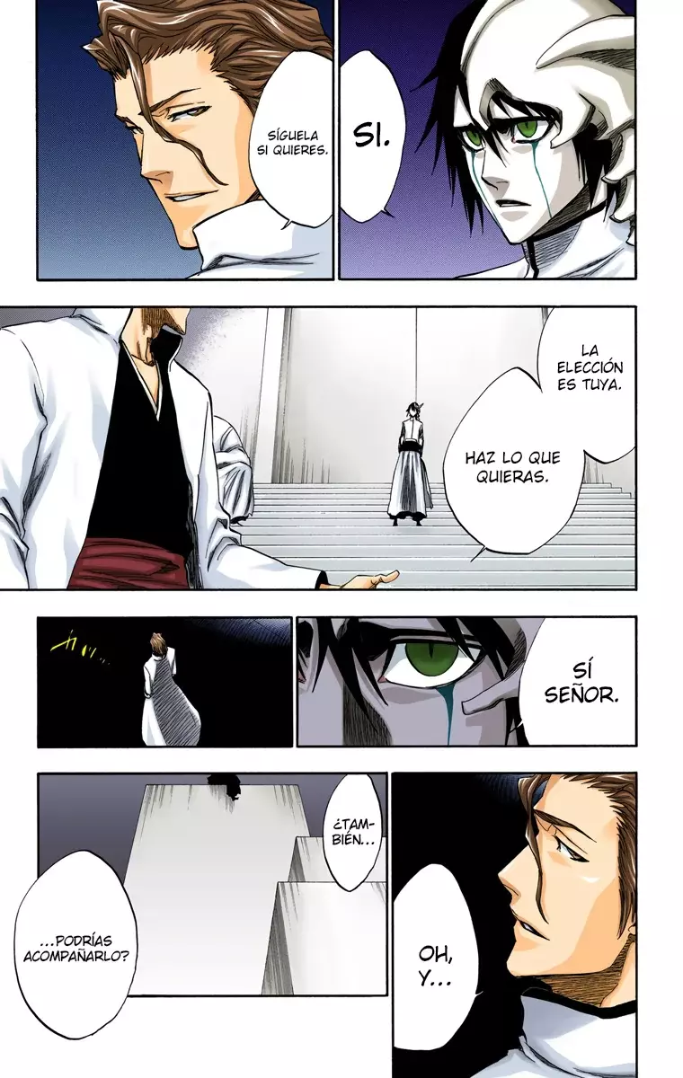 Read Bleach Full Color ES Manga Online