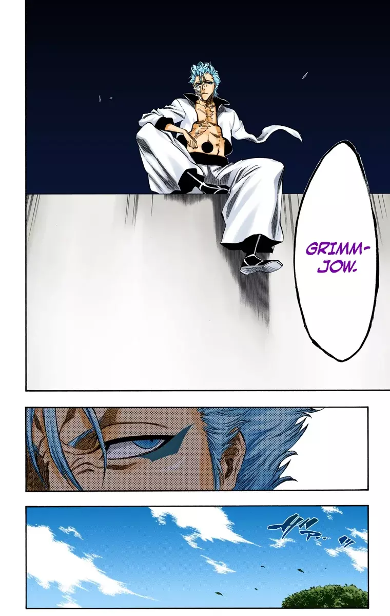 Read Bleach Full Color ES Manga Online