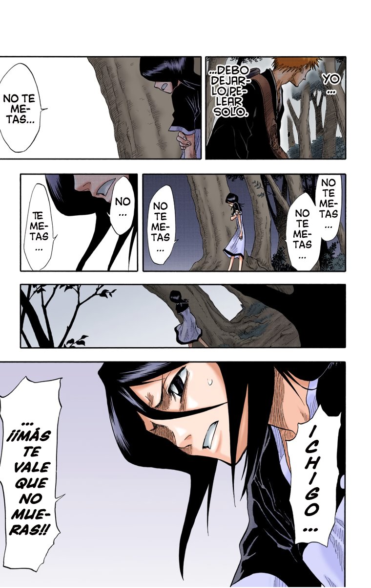 Read Bleach Full Color ES Manga Online