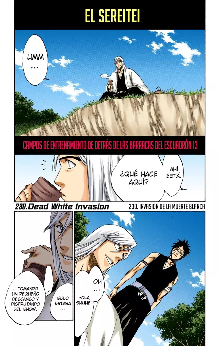 Read Bleach Full Color ES Manga Online