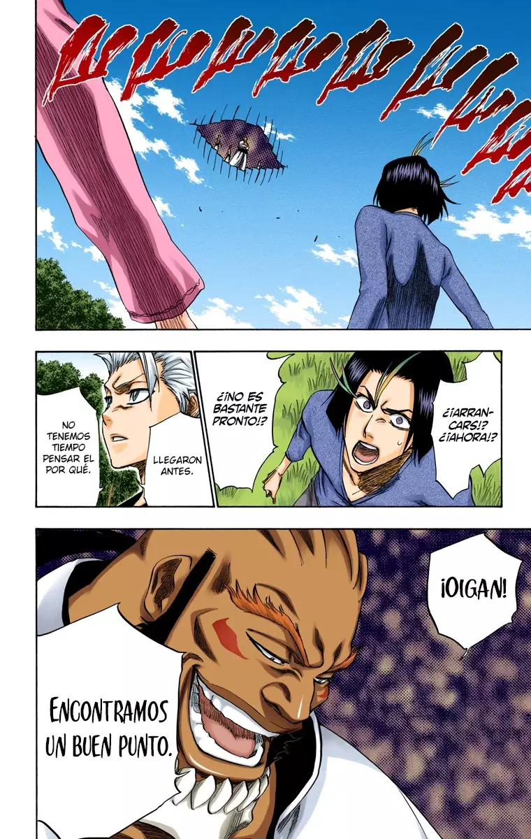 Read Bleach Full Color ES Manga Online