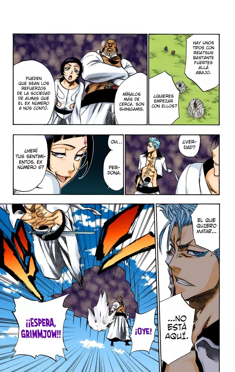 Read Bleach Full Color ES Manga Online