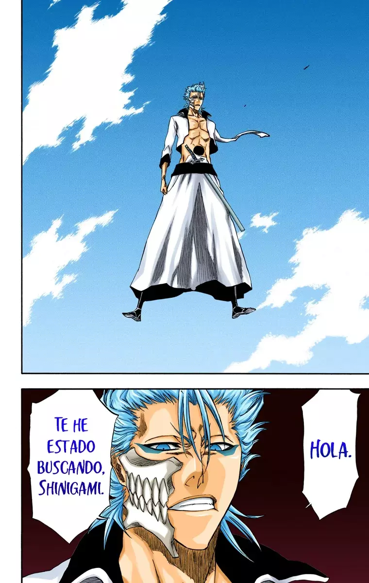 Read Bleach Full Color ES Manga Online