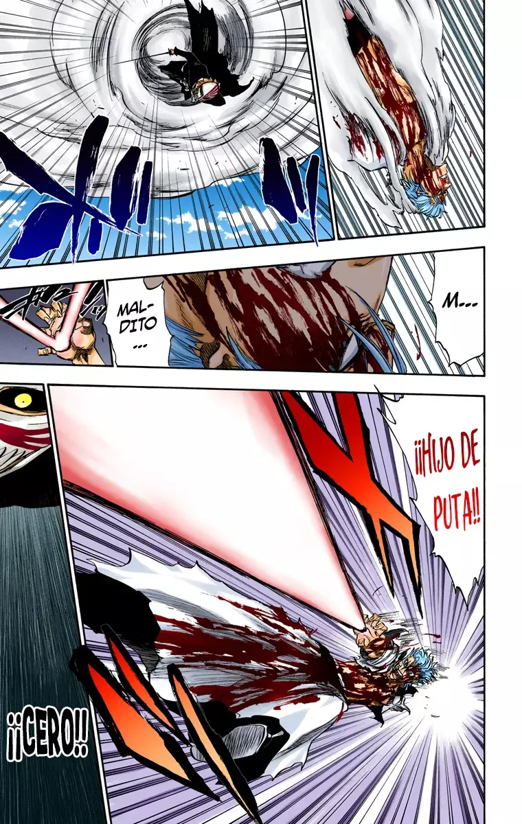 Read Bleach Full Color ES Manga Online