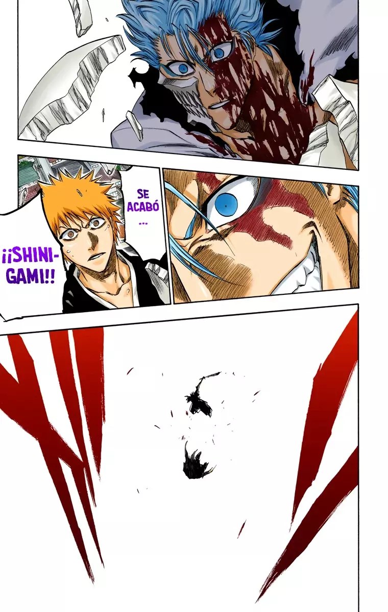 Read Bleach Full Color ES Manga Online