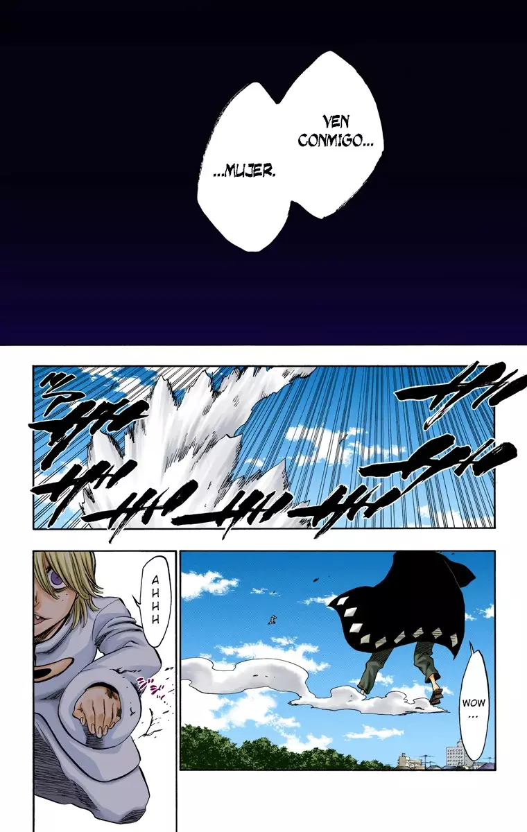 Read Bleach Full Color ES Manga Online