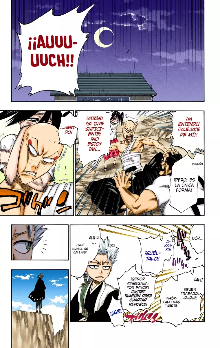 Read Bleach Full Color ES Manga Online