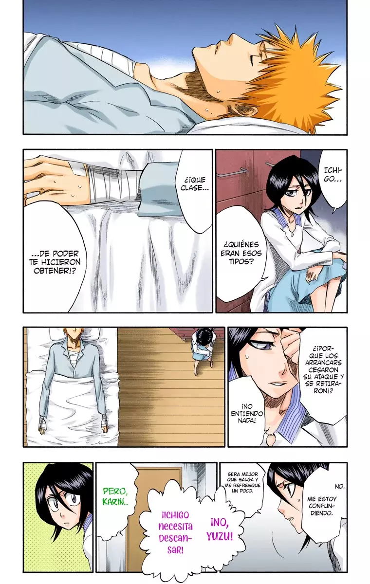 Read Bleach Full Color ES Manga Online