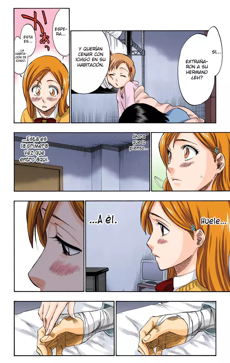 Read Bleach Full Color ES Manga Online