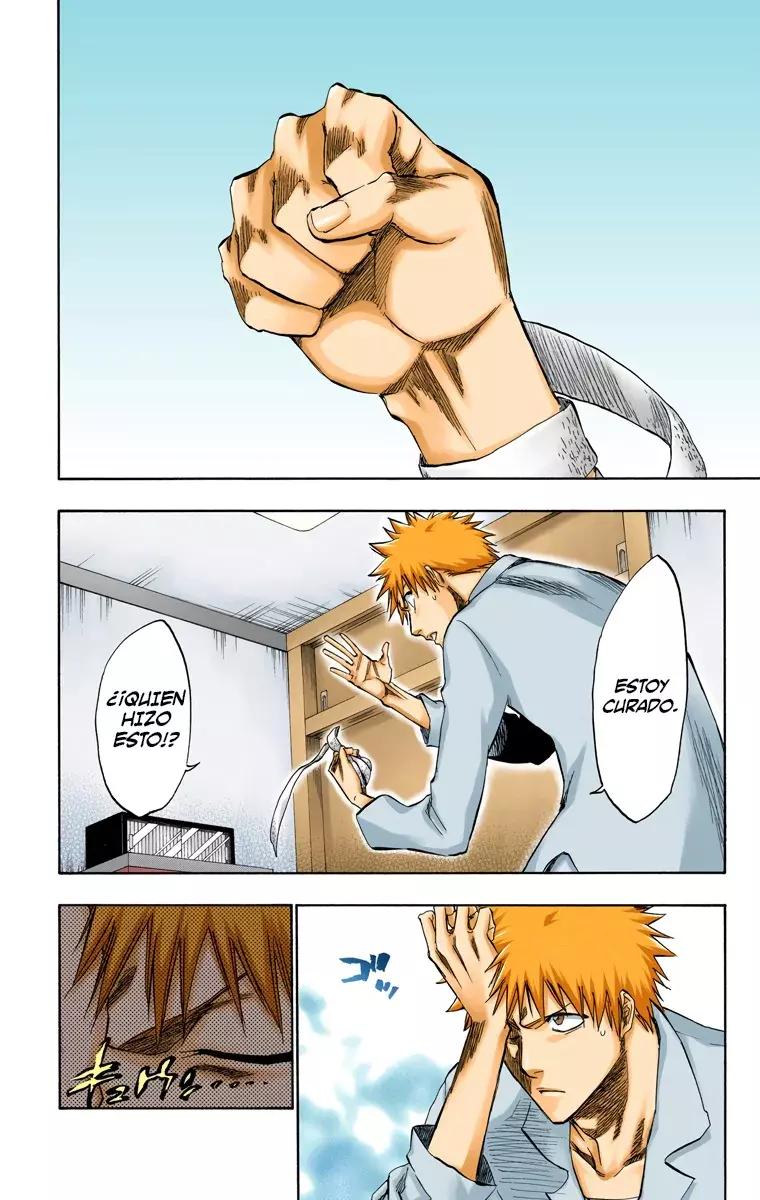 Read Bleach Full Color ES Manga Online