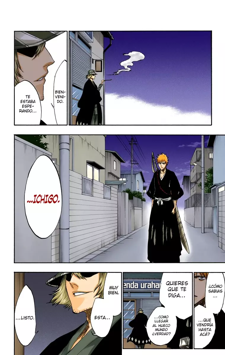 Read Bleach Full Color ES Manga Online