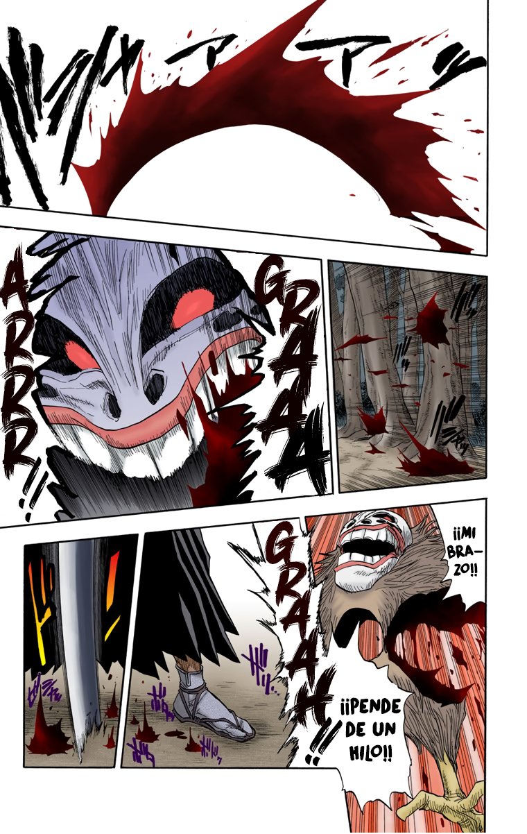 Read Bleach Full Color ES Manga Online