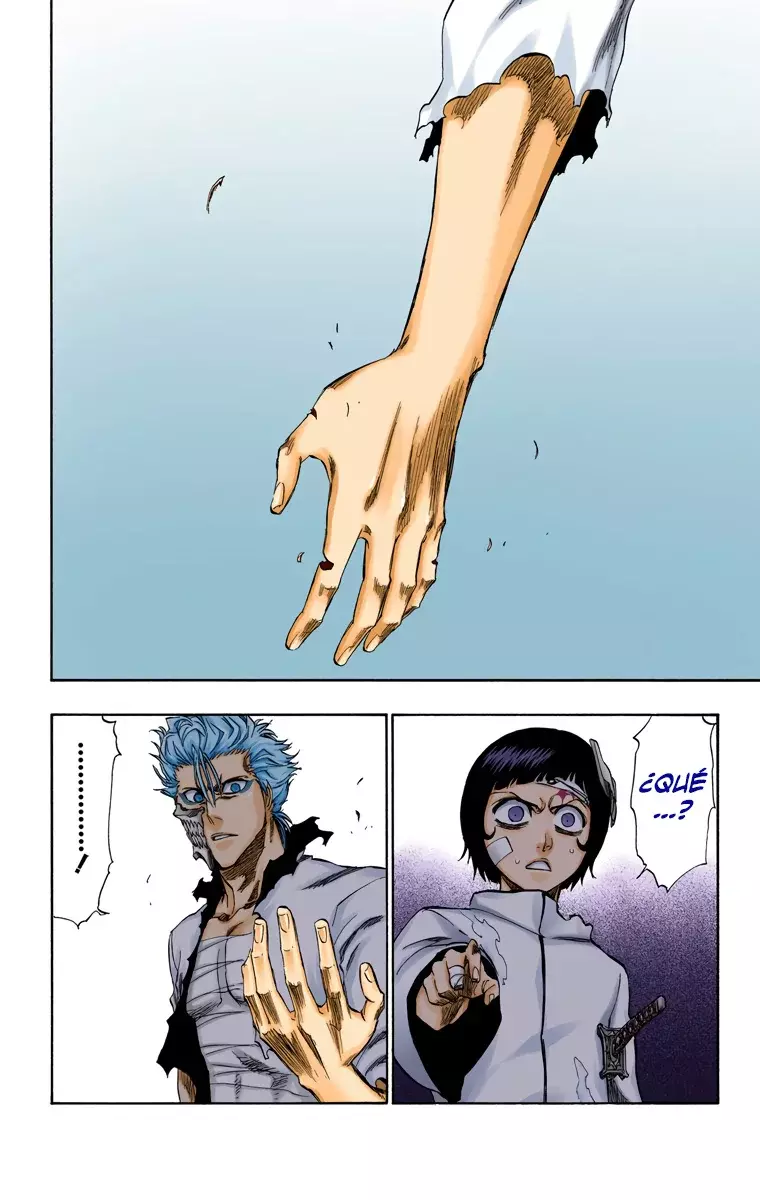 Read Bleach Full Color ES Manga Online