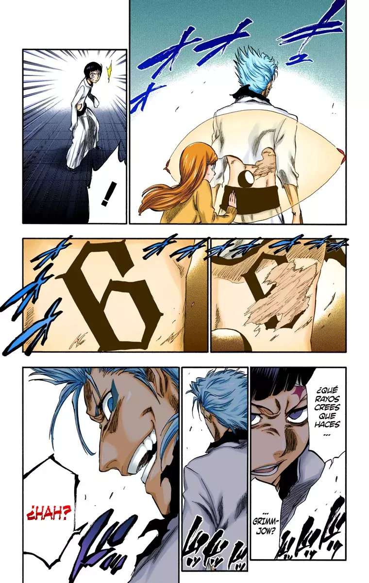 Read Bleach Full Color ES Manga Online