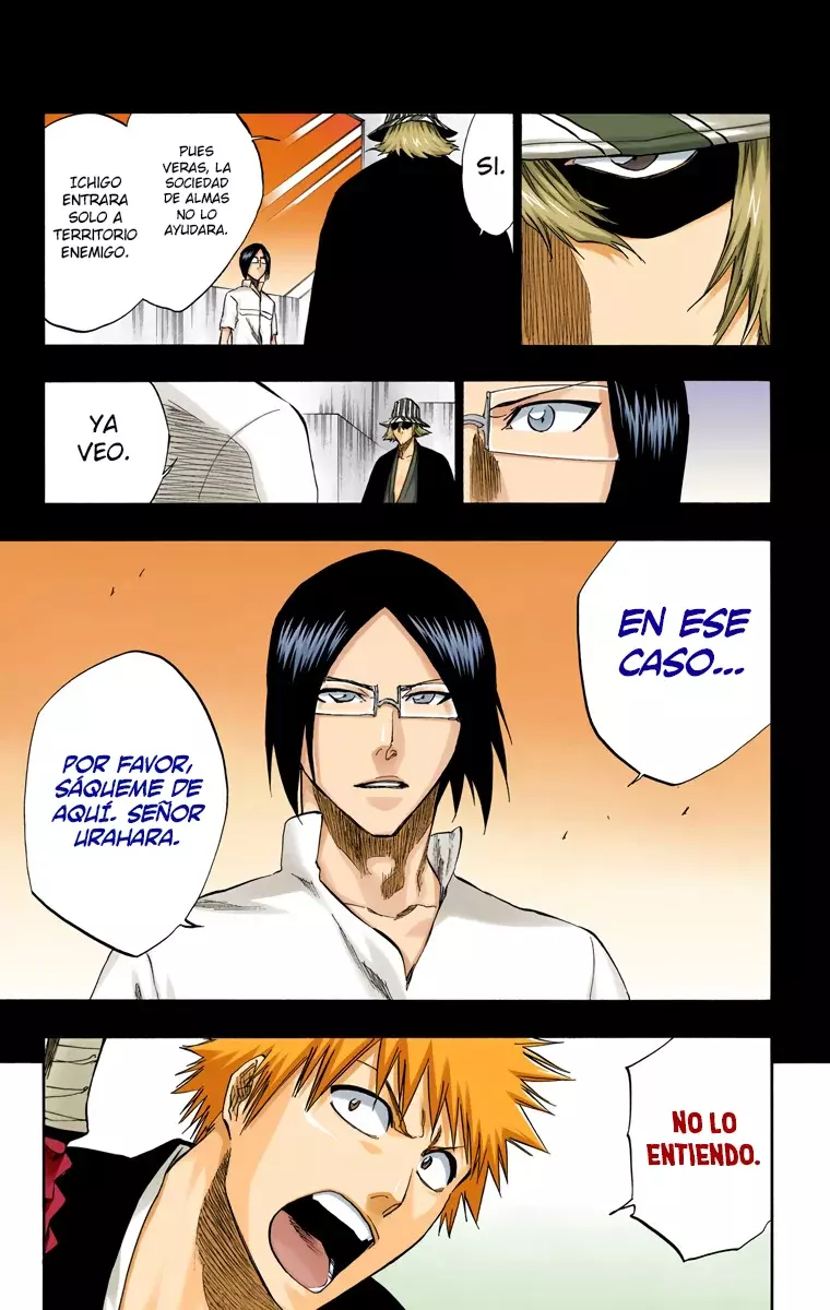 Read Bleach Full Color ES Manga Online