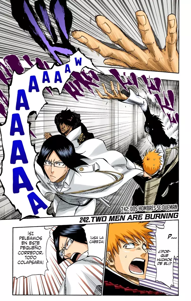 Read Bleach Full Color ES Manga Online