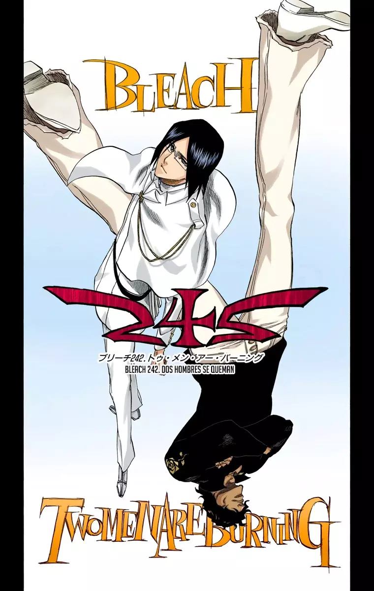 Read Bleach Full Color ES Manga Online