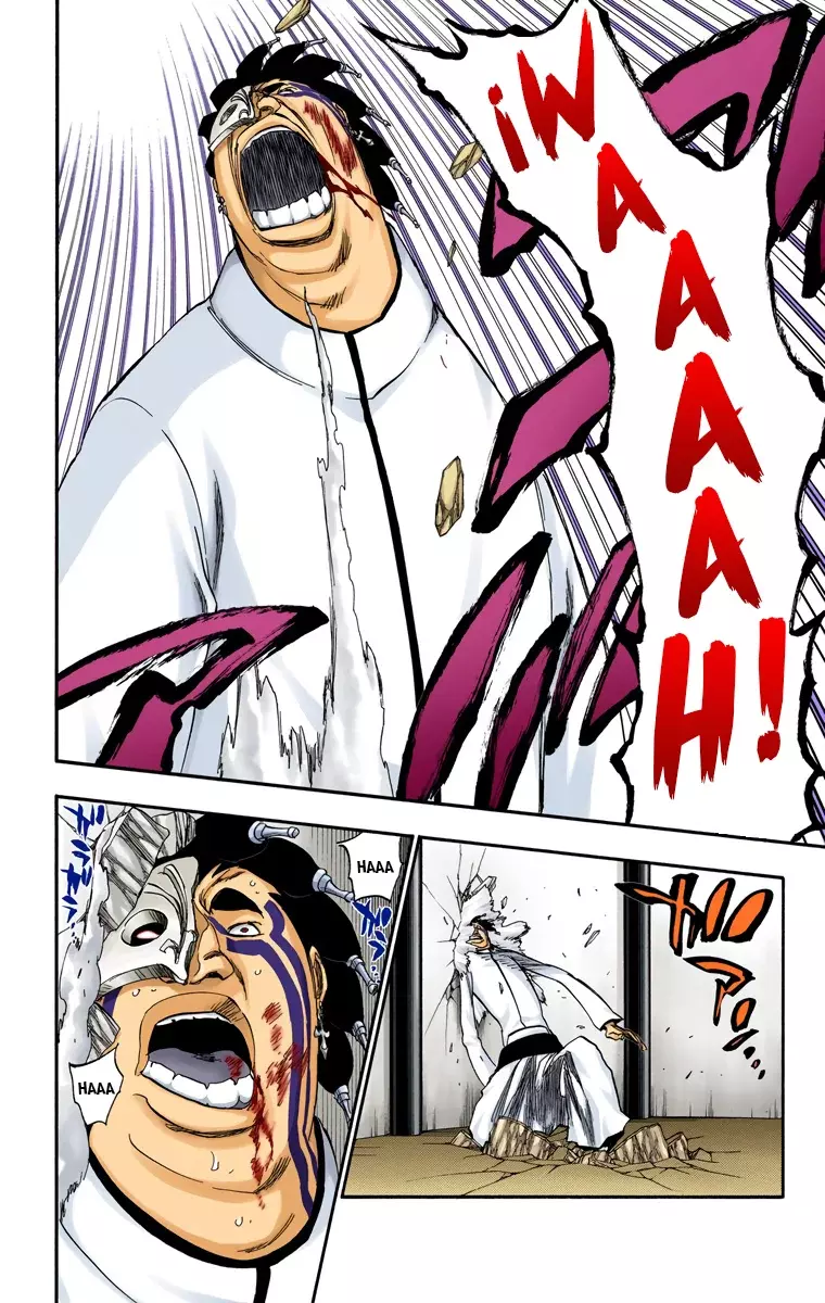 Read Bleach Full Color ES Manga Online