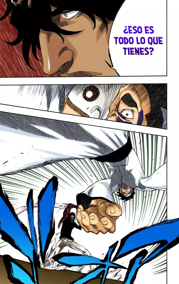 Read Bleach Full Color ES Manga Online