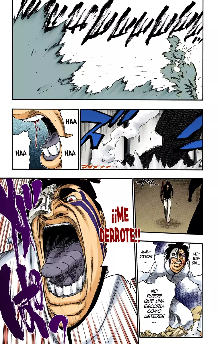 Read Bleach Full Color ES Manga Online