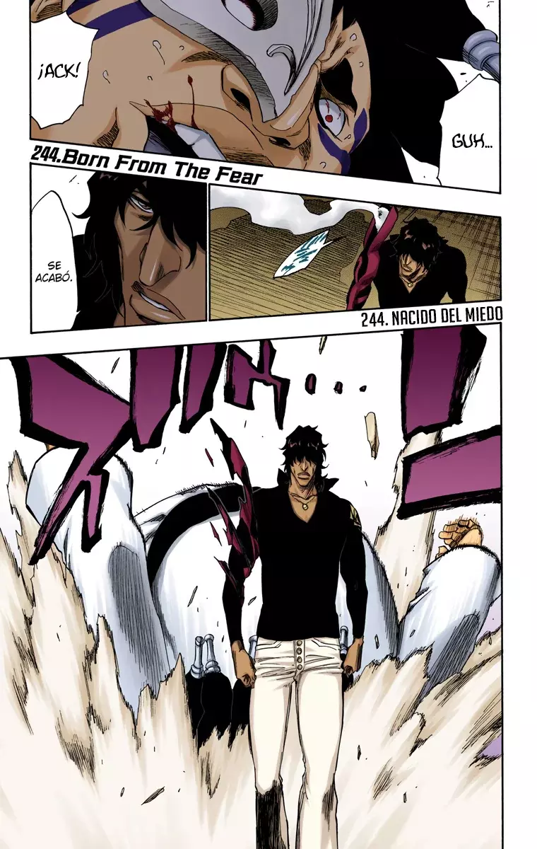 Read Bleach Full Color ES Manga Online