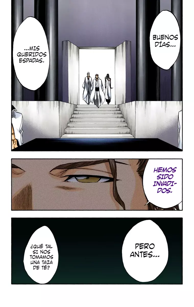 Read Bleach Full Color ES Manga Online