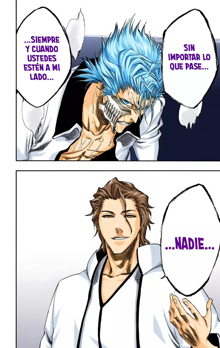 Read Bleach Full Color ES Manga Online