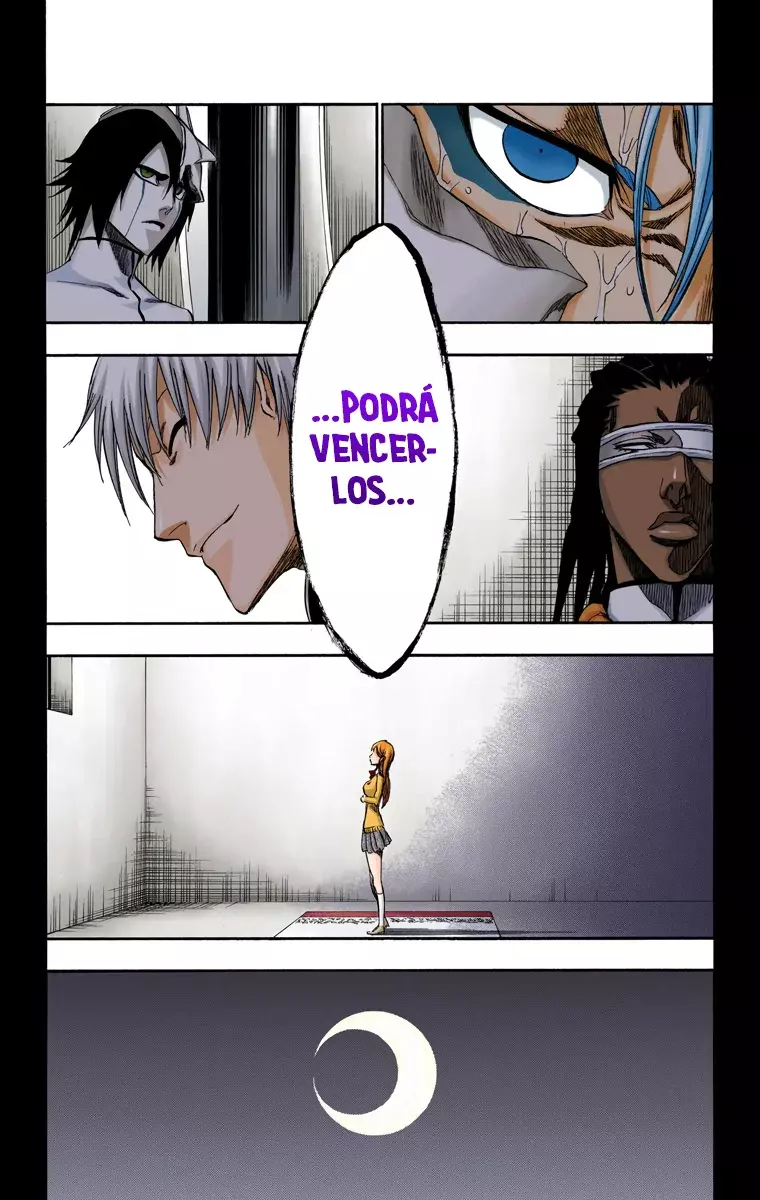 Read Bleach Full Color ES Manga Online