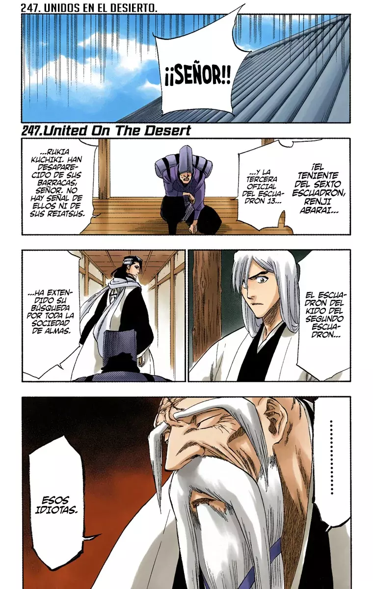 Read Bleach Full Color ES Manga Online